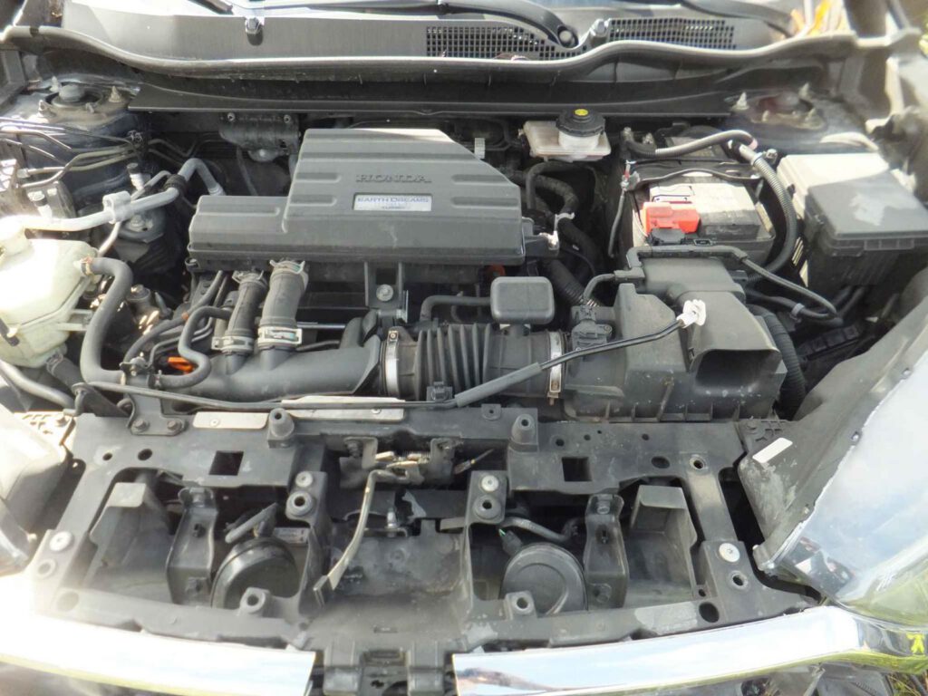 WhatsApp Image 2025-09-12 at 22.42.52