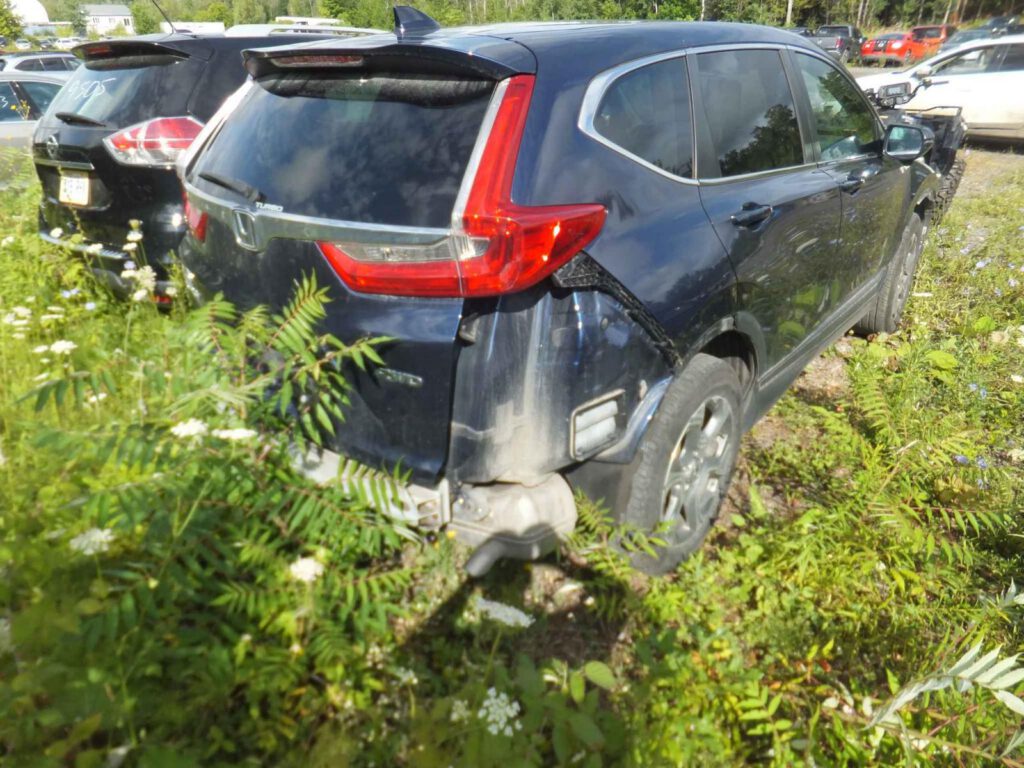 WhatsApp Image 2025-09-12 at 22.42.52 (7)