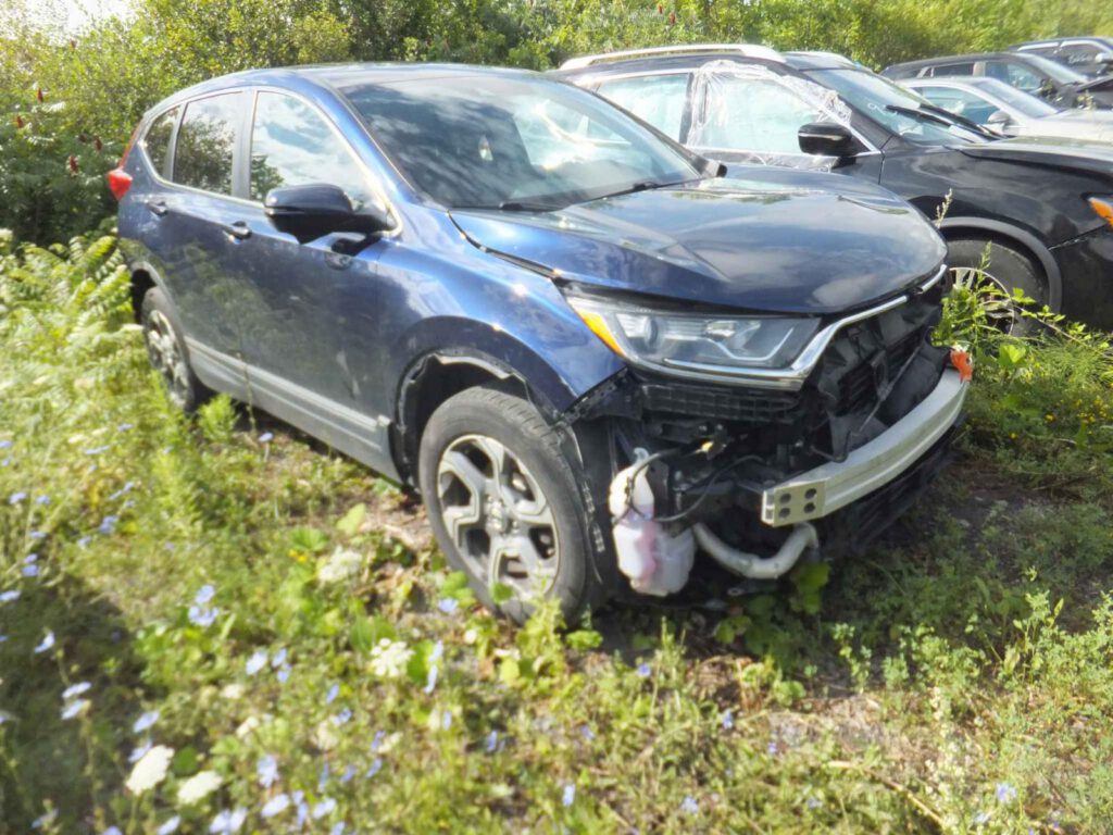 WhatsApp Image 2025-09-12 at 22.42.53 (1)