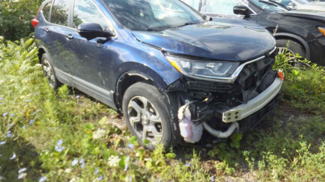 WhatsApp Image 2025-09-12 at 22.42.53 (1)