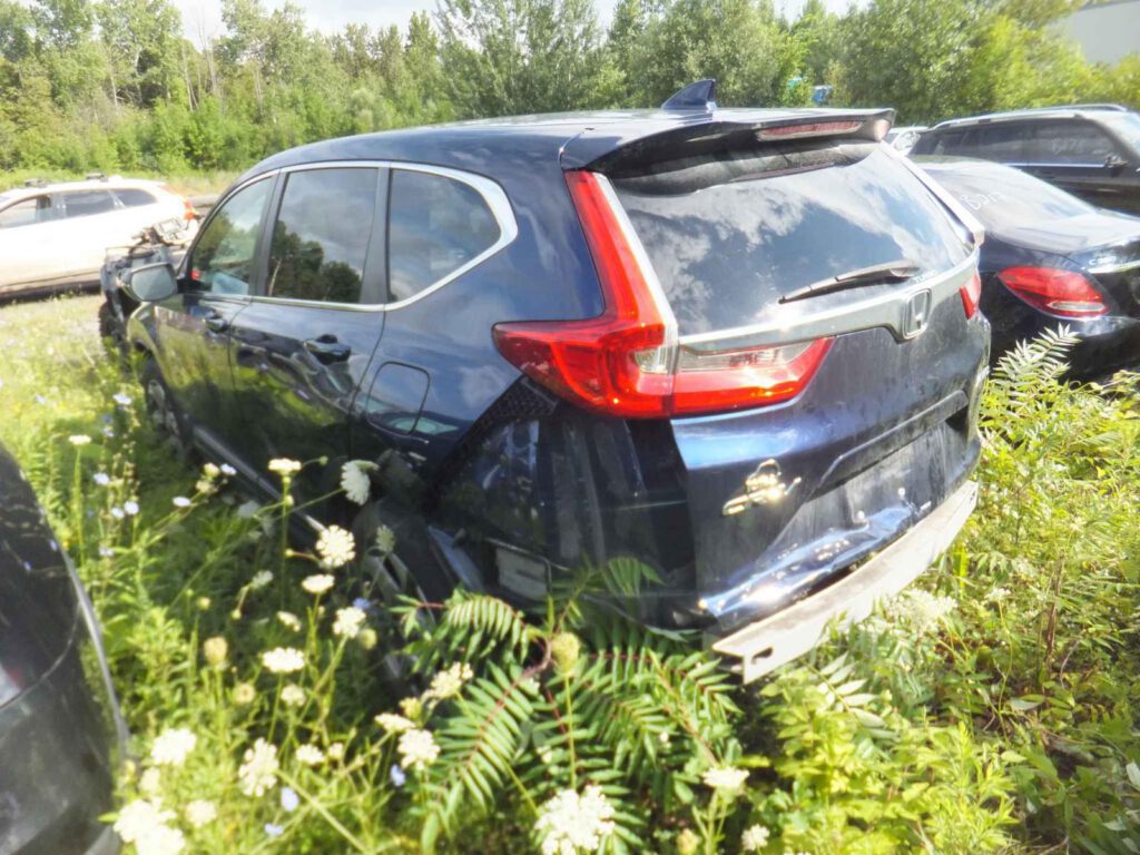 WhatsApp Image 2025-09-12 at 22.42.53