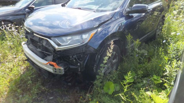 WhatsApp Image 2025-09-12 at 22.42.53 (2)