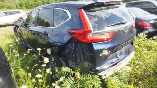 WhatsApp Image 2025-09-12 at 22.42.53