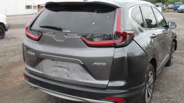 WhatsApp Image 2025-09-12 at 22.42.54 (6)