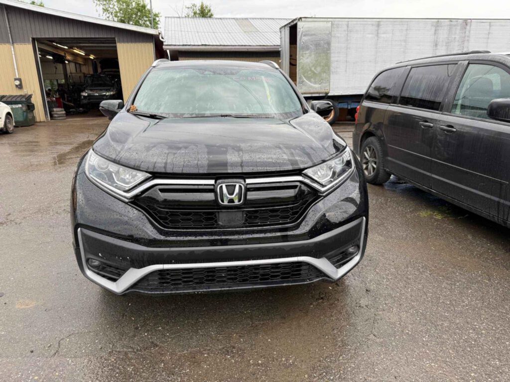 WhatsApp Image 2025-09-12 at 22.42.55 (1)