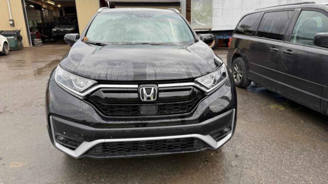 WhatsApp Image 2025-09-12 at 22.42.55 (1)