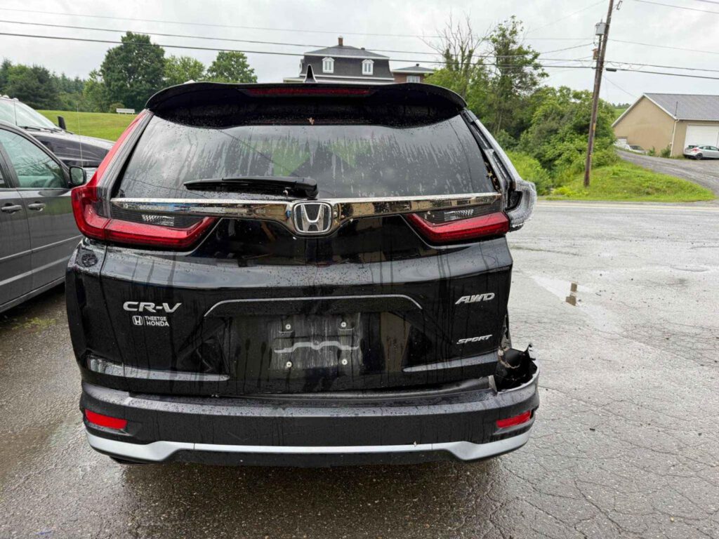 WhatsApp Image 2025-09-12 at 22.42.55 (2)