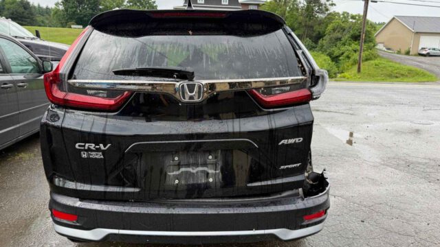 WhatsApp Image 2025-09-12 at 22.42.55 (2)