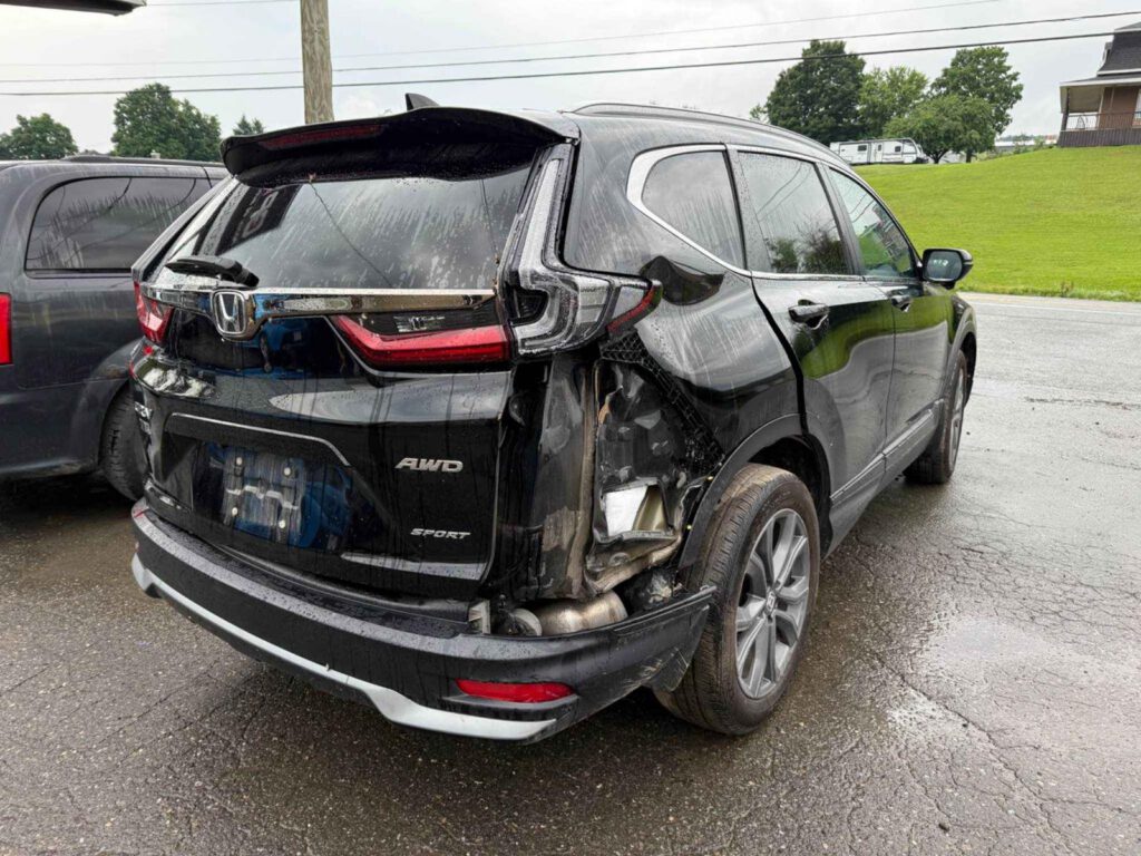 WhatsApp Image 2025-09-12 at 22.42.55 (3)