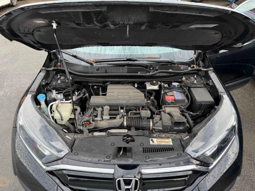 WhatsApp Image 2025-09-12 at 22.42.57 (2)