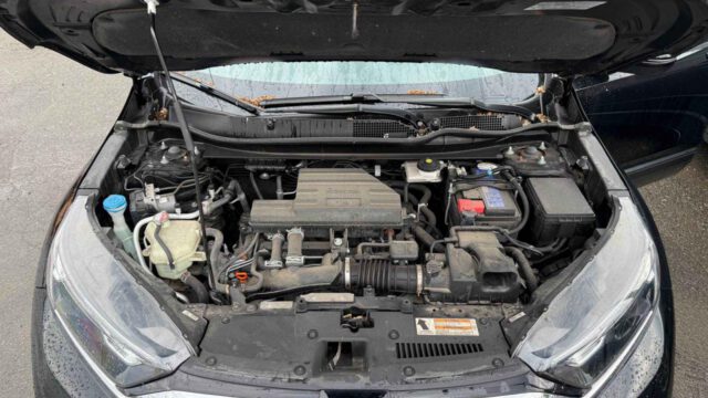 WhatsApp Image 2025-09-12 at 22.42.57 (2)