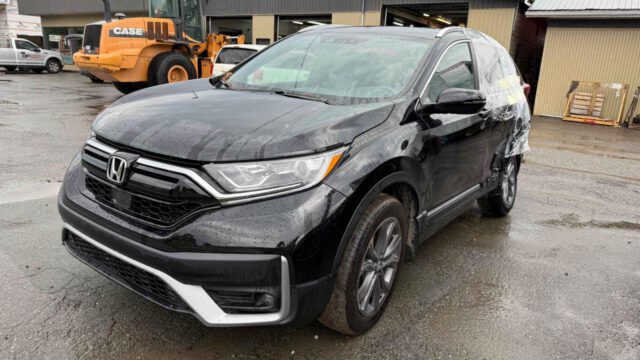 WhatsApp Image 2025-09-12 at 22.42.57 (6)