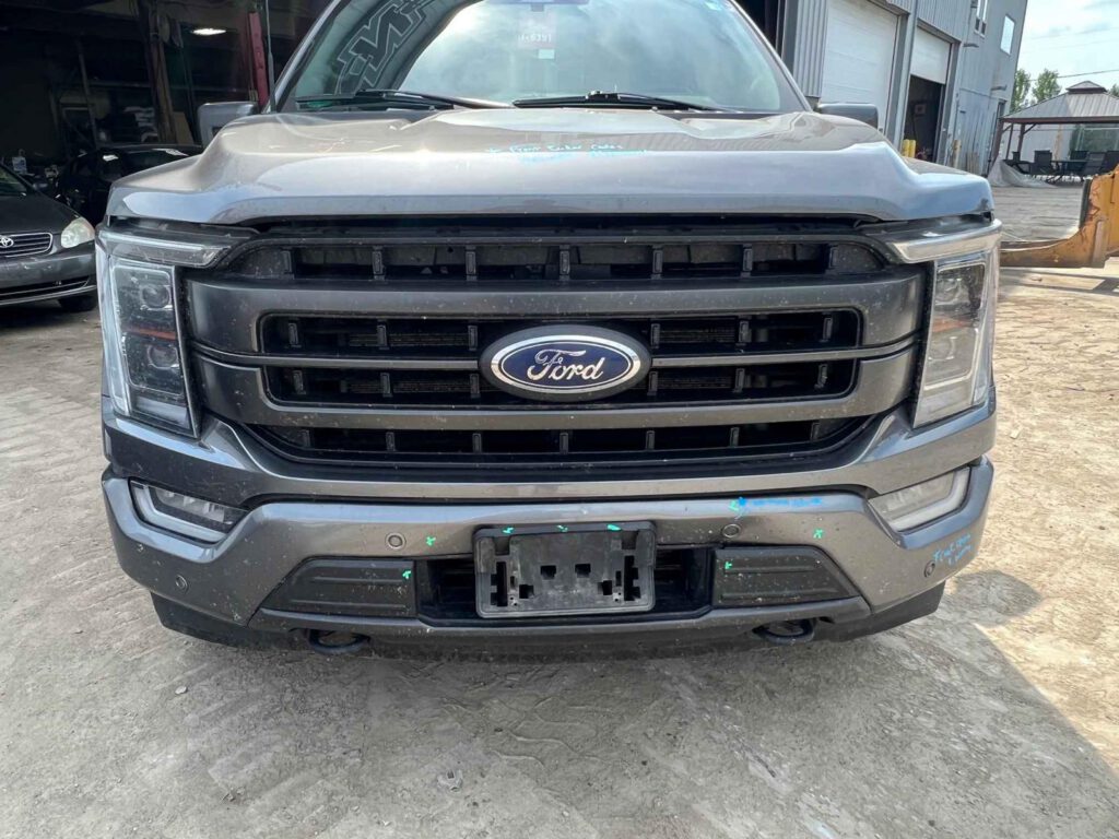 WhatsApp Image 2025-09-12 at 22.43.42 (1)