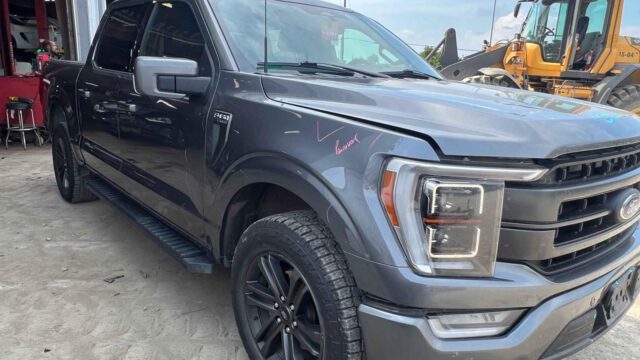 WhatsApp Image 2025-09-12 at 22.43.42