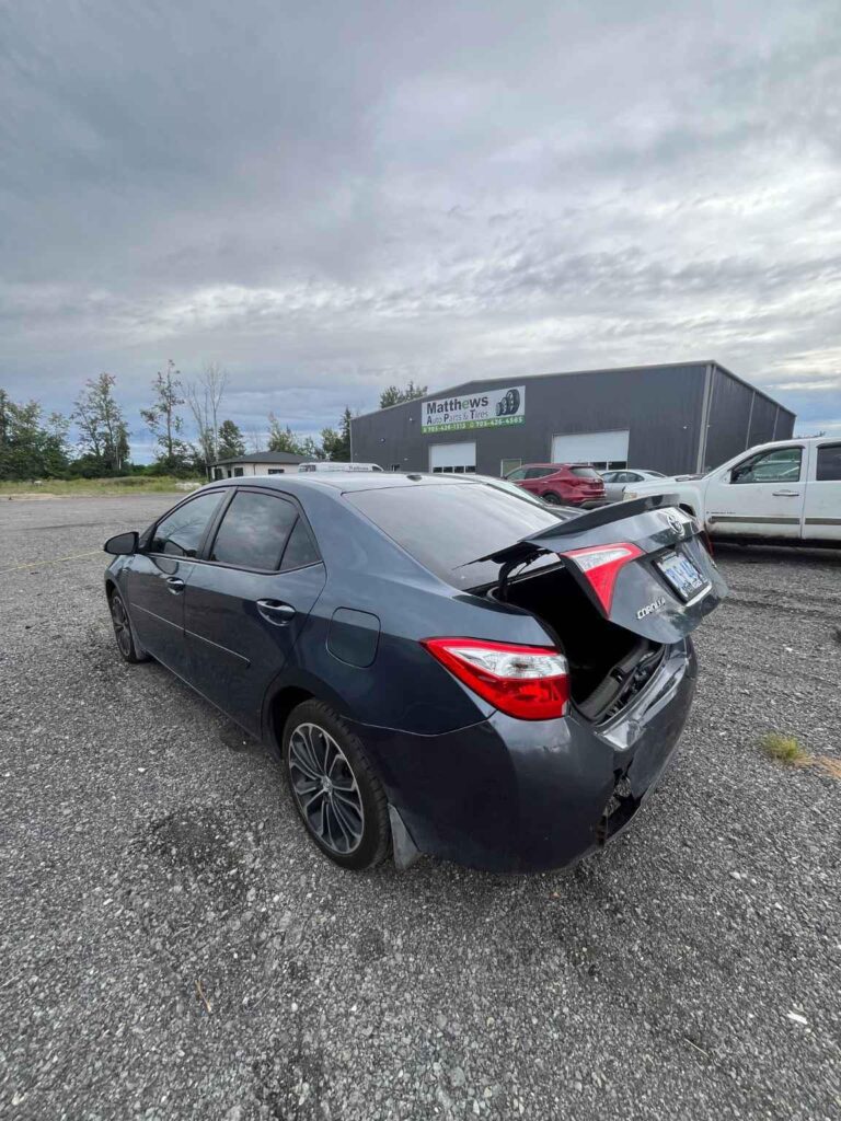 WhatsApp Image 2025-09-12 at 22.42.11 (1)