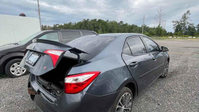 WhatsApp Image 2025-09-12 at 22.42.11