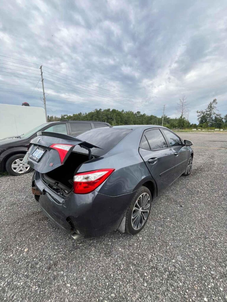 WhatsApp Image 2025-09-12 at 22.42.11