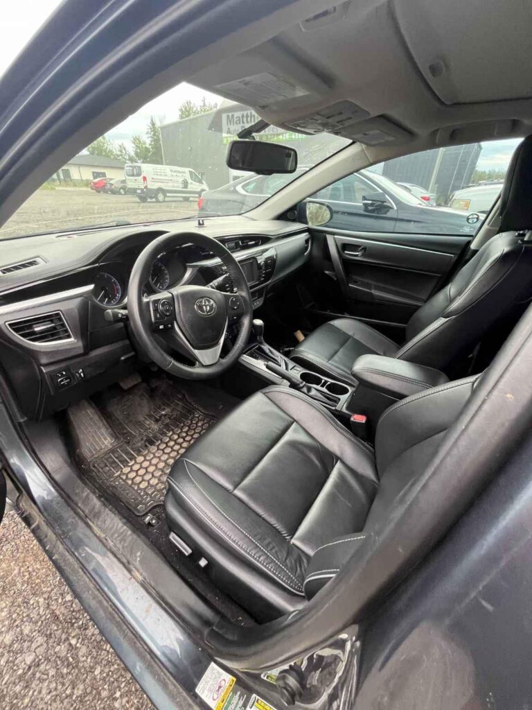 WhatsApp Image 2025-09-12 at 22.42.12 (1)