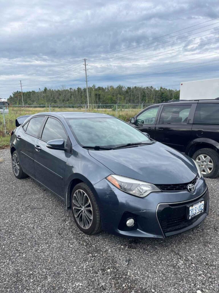 WhatsApp Image 2025-09-12 at 22.42.12 (2)