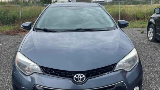 WhatsApp Image 2025-09-12 at 22.42.12 (3)