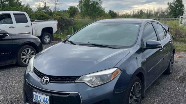 WhatsApp Image 2025-09-12 at 22.42.12 (4)