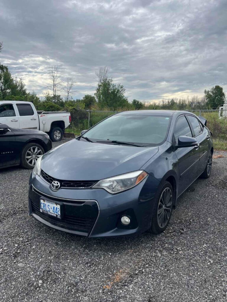 WhatsApp Image 2025-09-12 at 22.42.12 (4)