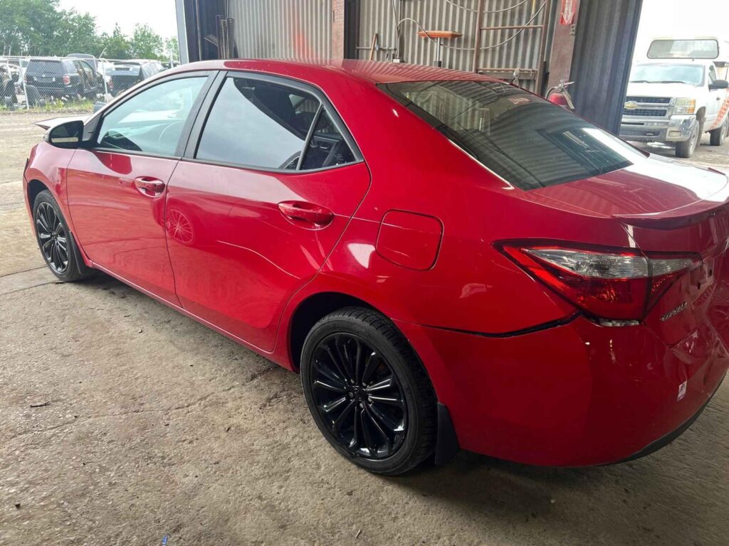 WhatsApp Image 2025-09-12 at 22.42.51 (2)