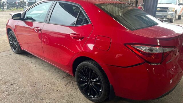 WhatsApp Image 2025-09-12 at 22.42.51 (2)