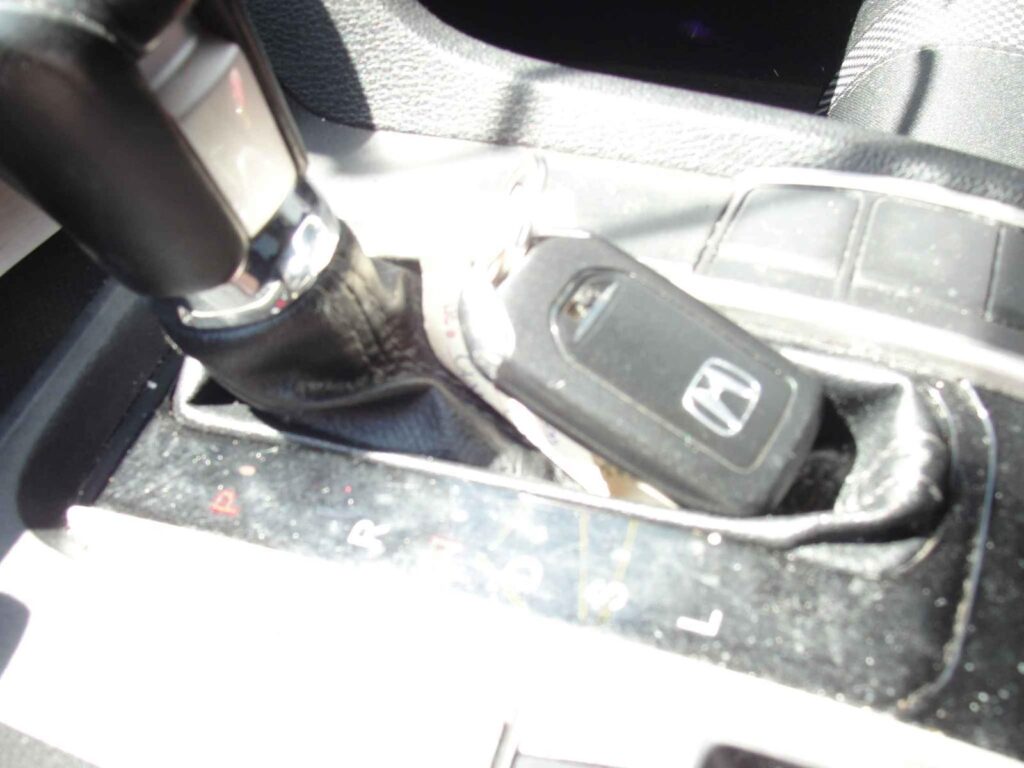 WhatsApp Image 2025-10-05 at 13.29.27 (3)