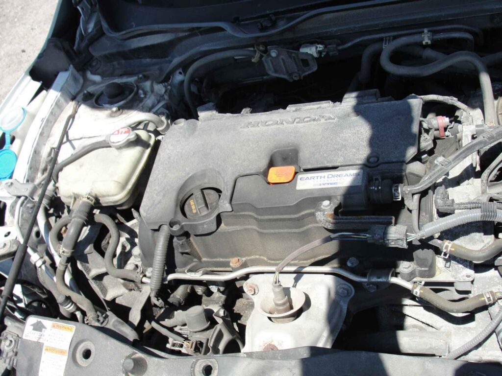 WhatsApp Image 2025-10-05 at 13.29.28