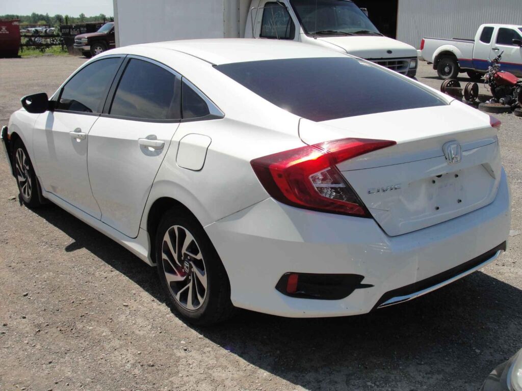 WhatsApp Image 2025-10-05 at 13.29.28 (2)