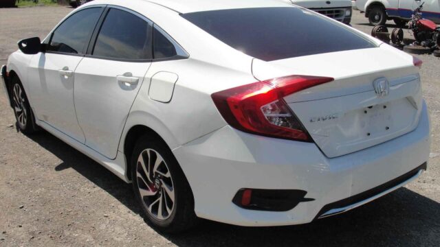 WhatsApp Image 2025-10-05 at 13.29.28 (2)