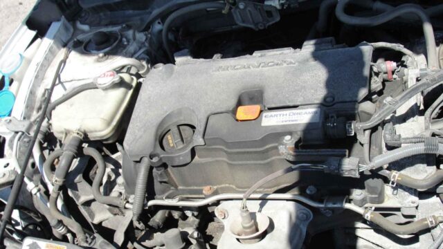 WhatsApp Image 2025-10-05 at 13.29.28