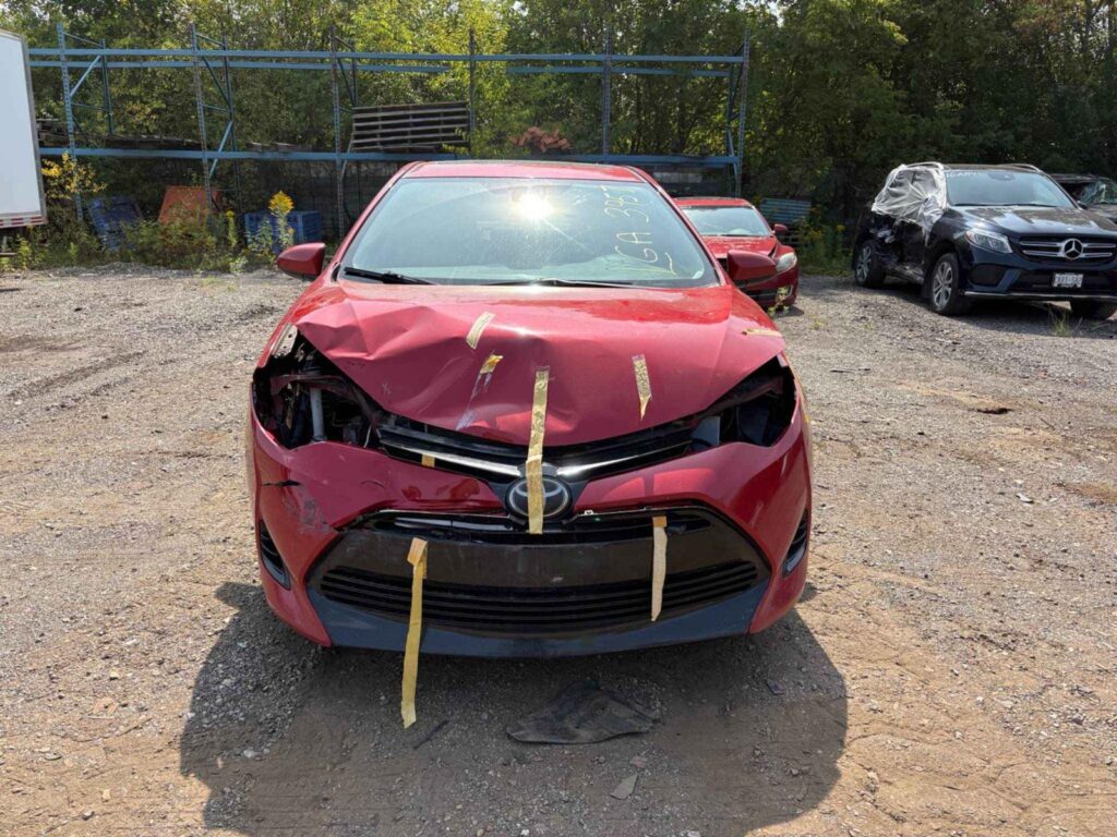 WhatsApp Image 2025-10-05 at 13.29.29 (1)