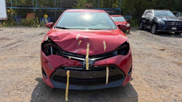 WhatsApp Image 2025-10-05 at 13.29.29 (1)