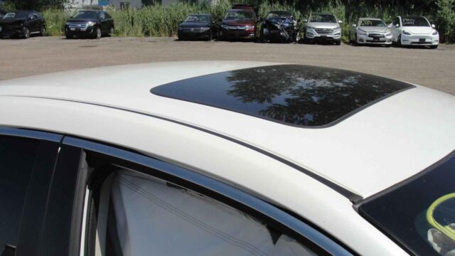 WhatsApp Image 2025-10-05 at 13.29.29 (1)