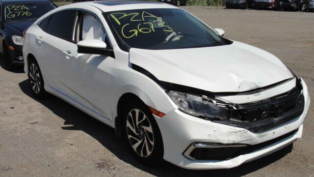 WhatsApp Image 2025-10-05 at 13.29.29 (2)