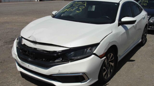 WhatsApp Image 2025-10-05 at 13.29.29 (3)