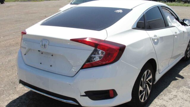 WhatsApp Image 2025-10-05 at 13.29.29