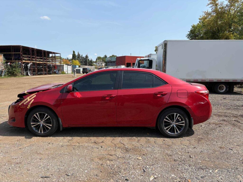 WhatsApp Image 2025-10-05 at 13.29.30 (1)