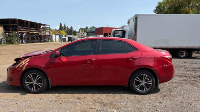 WhatsApp Image 2025-10-05 at 13.29.30 (1)