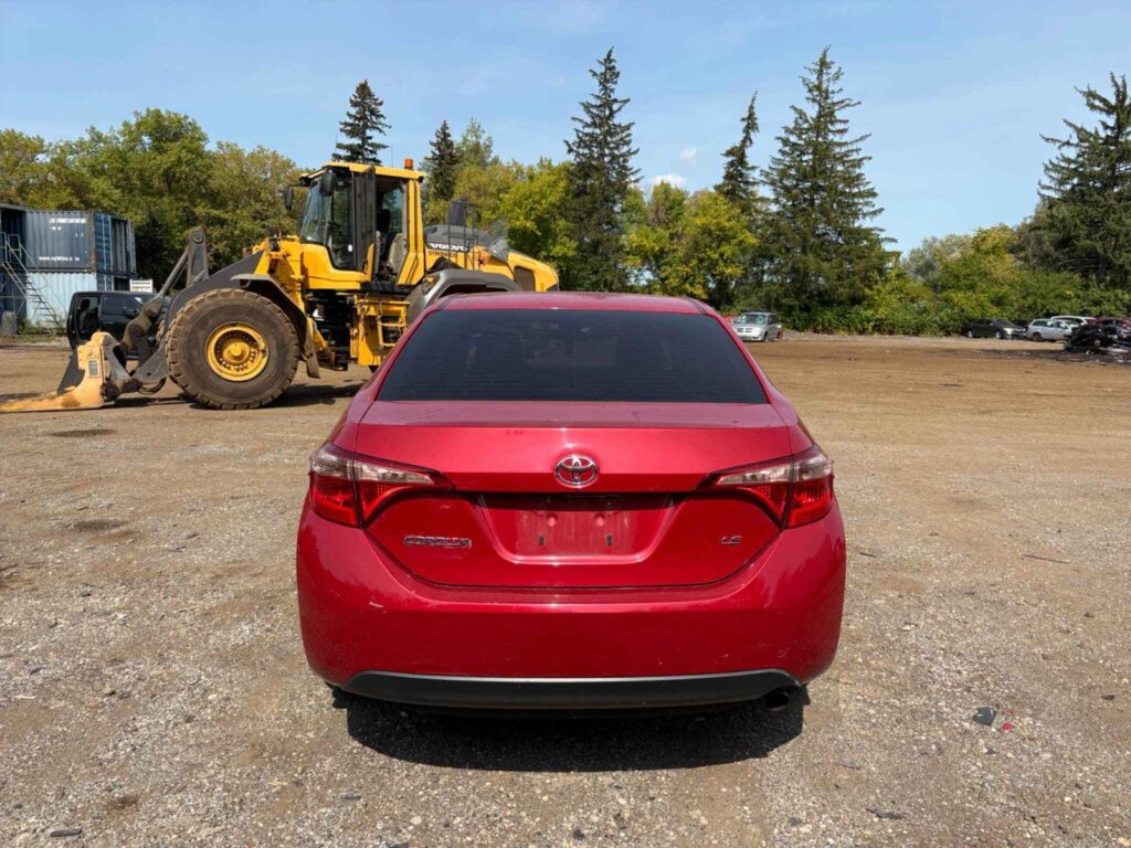 WhatsApp Image 2025-10-05 at 13.29.30 (2)