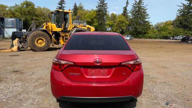 WhatsApp Image 2025-10-05 at 13.29.30 (2)