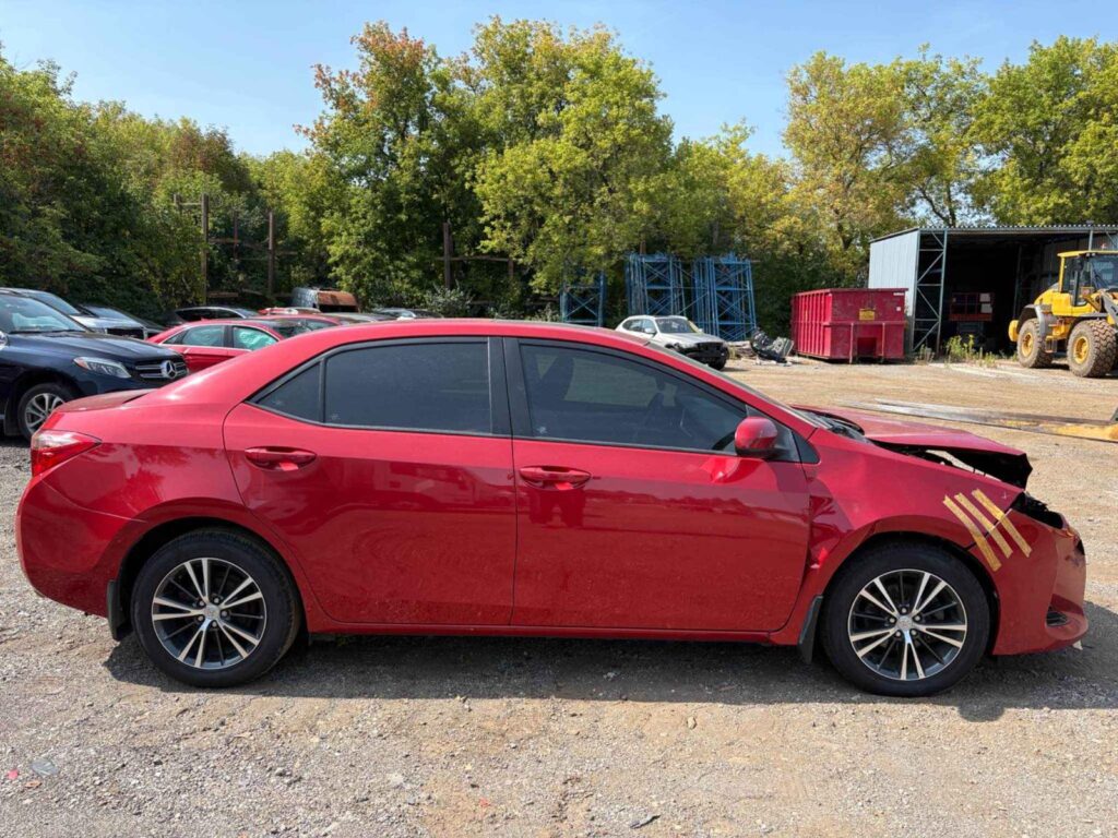 WhatsApp Image 2025-10-05 at 13.29.30 (3)