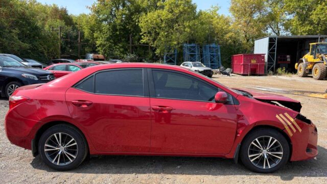 WhatsApp Image 2025-10-05 at 13.29.30 (3)