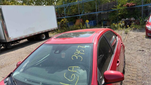 WhatsApp Image 2025-10-05 at 13.29.30