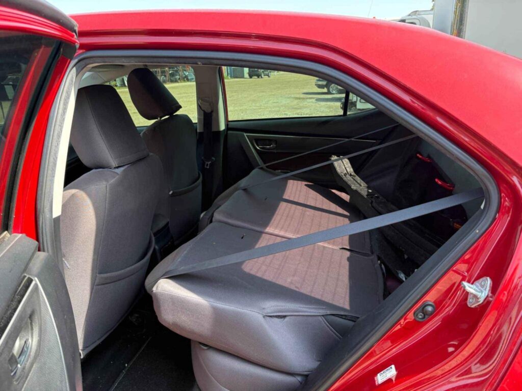 WhatsApp Image 2025-10-05 at 13.29.31