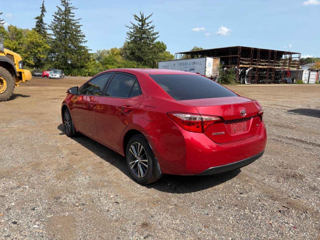 WhatsApp Image 2025-10-05 at 13.29.31 (4)