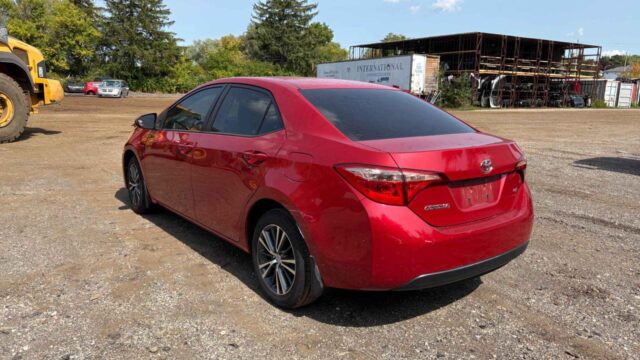 WhatsApp Image 2025-10-05 at 13.29.31 (4)