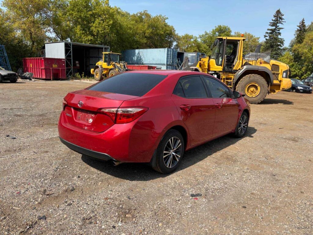 WhatsApp Image 2025-10-05 at 13.29.31 (5)